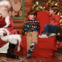 ZooTampa: Christmas in the Wild — gallery 3