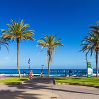Tenerife: Guided Island Tour + Roundtrip Transfer — gallery 3