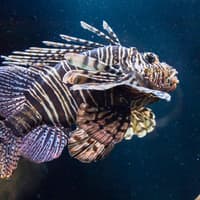 SEA LIFE Munich Ticket — gallery 5