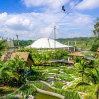 Bird Paradise Tickets | Mandai Wildlife Reserve — gallery 5