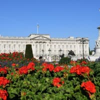 London: Guided Walking Tour + British Food Tasting — gallery 2