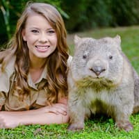 From Brisbane: Australia Zoo Tickets with Transfers — gallery 3