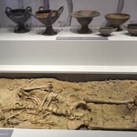 Ravenna Classis Museum: Entry Ticket — gallery 4