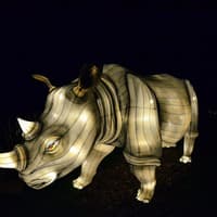 Zoo Lights at Zoo Miami — gallery 3