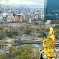 Osaka Castle: Guided Walking Tour — gallery 3