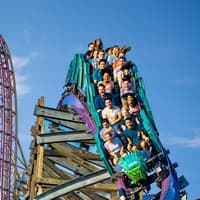 Busch Gardens Tampa: Entry Ticket with Optional Quick Queue — gallery 2