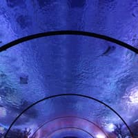 Antalya Aquarium & Face 2 Face Wax Museum — gallery 2