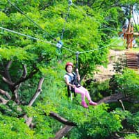 Coral Crater Park: Zipline Adventure — gallery 1