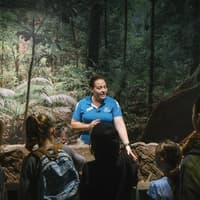 Cairns Aquarium: Entry Ticket — gallery 1