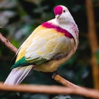 Toledo Zoo & Aquarium: Entry Ticket — gallery 2