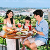 Singapore Cable Car SkyPass with Meals at Arbora Cafe — gallery 2