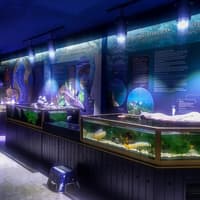 Tickets to Vasco da Gama Aquarium in Lisbon — gallery 1