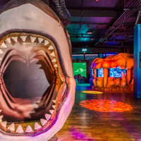 Shark Dive Xtreme Tickets at SEA LIFE Melbourne Aquarium — gallery 3