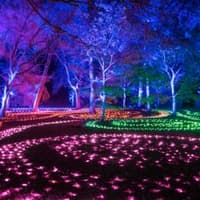 Lightscape Brooklyn — gallery 3