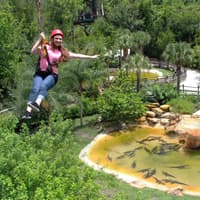 Gatorland Skip-the-Line Tickets — gallery 4