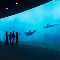 พิพิธภัณฑ์สัตว์น้ำเจนัว: บัตรเข้าชมพร้อมอาหารกลางวันหรืออาหารเช้า, Aquarium of Genoa, Genoa