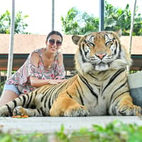 Tiger Park Tickets with Tiger Interactions — gallery 1