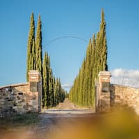 Corte Pavone Winery Estate: Montalcino Wine Tasting — gallery 2