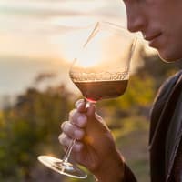 Guided Wine Tasting & Dinner Experience in Chianti — gallery 4