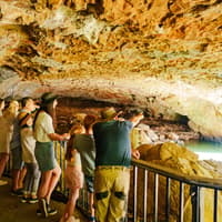 Natural Bridge & Springbrook Waterfalls Tour — gallery 2