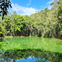 Tiger Cave Temple, Emerald Pool & Hot Springs: Full-Day Tour from Krabi — gallery 3