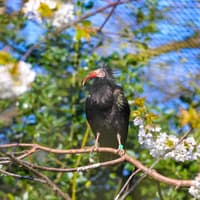 Edinburgh Zoo Entrance Tickets — gallery 4