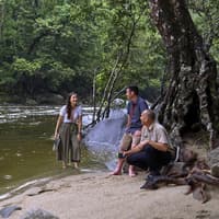 Cape Tribulation, Daintree & Mossman: Day Tour from Cairns and Port Douglas — gallery 3