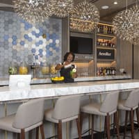 Plaza Premium Lounge at Dallas Fort Worth International Airport — gallery 1