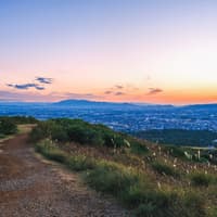 Kyoto & Nara by Private Car: Temples, Deer Park & Scenic Stops — gallery 5