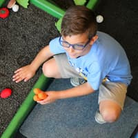 Tampa Family Fun Pass — gallery 2