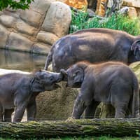 Prague Zoo Tickets — gallery 1