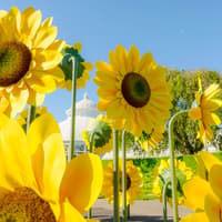 New York Botanical Garden Tickets — gallery 2
