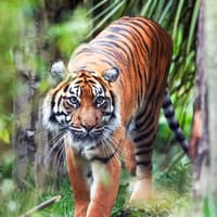 Edinburgh Zoo Entrance Tickets — gallery 1