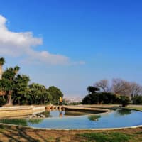 Guided Walking Tour of Montjuïc — gallery 4