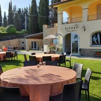 Guided Wine Tasting & Dinner Experience in Chianti — gallery 1