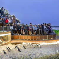 From Melbourne: Half/Full-Day Phillip Island Day Trip with Penguin Parade — gallery 2