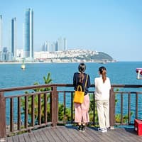 Busan 1-Day City Tour & Blue Line Park Sky Capsule — gallery 1