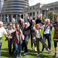 Tur ghidat de jumătate de zi în grup mic către principalele atracții din Wellington, Hotel Pickup, Wellington