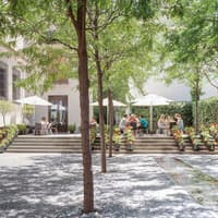 Picasso Museum Malaga Tickets — gallery 5