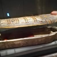 Egyptian Museum Skip The Line Guided Tour — gallery 5