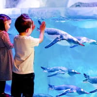 Golden Pass London: Choose from 10+ Attractions — gallery 4
