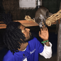 SeaQuest Las Vegas — gallery 4