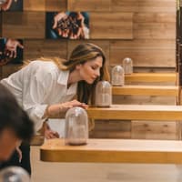 WOW Porto: 2-Day Pass — gallery 3