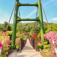 Nami Island Highlights Day Tour with Petite France & Italian Village — gallery 5