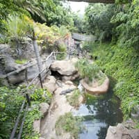 Jungle Park: Entry Ticket — gallery 1