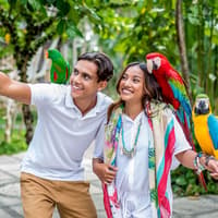 Bali Bird Park Tickets + Optional Lunch with Bird Stars — gallery 1