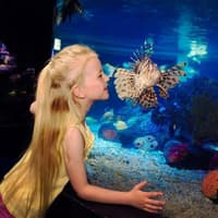 SEA LIFE Manchester: Entry Ticket, SEA LIFE Manchester, Manchester