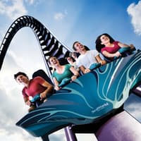 SeaWorld Orlando: Entry Ticket + Optional All-Day Dining Deal — gallery 4
