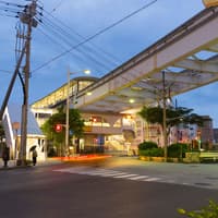 1-Day Yui Rail Pass with Shopping Coupon: Okinawa — gallery 2