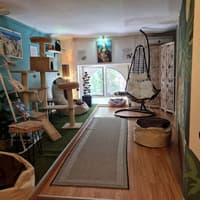 Cat Museum Budapest: Entry Ticket + Audio Guide — gallery 1